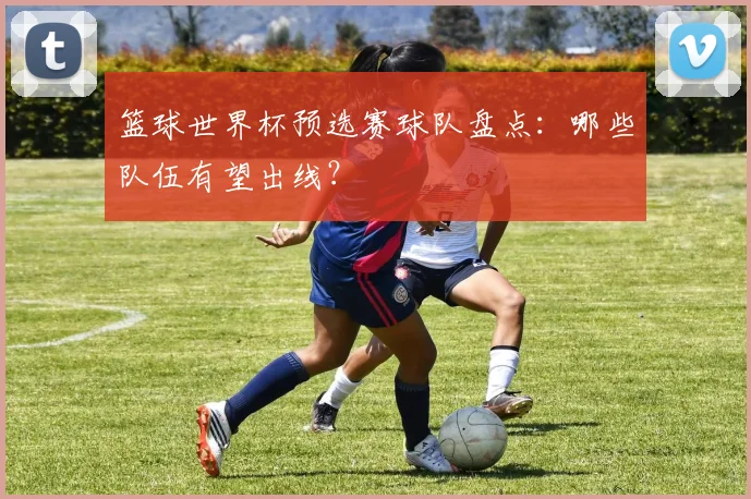 篮球世界杯预选赛球队盘点：哪些队伍有望出线？